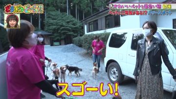 211104 Doubutsu Peace!! SP – AKB48 Omori Maho & ex-AKB48 Maeda Atsuko – HD.mp4-00007