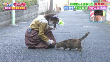 211127 I LOVE Minna no Doubutsuen – ex-AKB48 Takahashi Minami – HD.mp4-00008