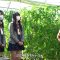 211130 SKE48 to Chotto Soko Made – HD.mp4-00002