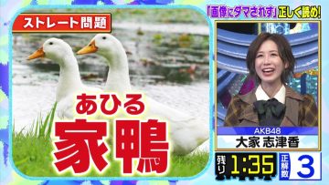 211222 Cream Quiz Miracle 9 2Hours SP – AKB48 Oya Shizuka – HD.mp4-00008