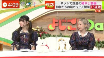 220110 Yojigoji Days – AKB48 Chiba Erii, Honda Hitomi – HD.mp4-00004