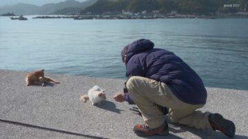 220111 Iwago Mitsuaki no Sekai Neko Aruki – ex-AKB48 Maeda Atsuko – HD.mp4-00011