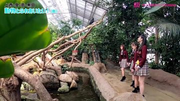 220204 Shin YNN NMB48 CHANNEL – Izumi Ayano Presents ‘Kobe de Aoharuyanen!’ – FHD.mp4-00001