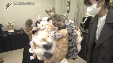 220319 Burari Tochuu Gesha no Tabi – AKB48 Yokoyama Yui – HD.mp4-00014