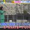 220323 ex-Nogizaka46 Shiraishi Mai’s TV News – Sukkiri & BAGUETTE – HD.mp4-00003