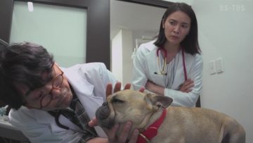 220326 Pet Doctor Hanasaki Mantaro no Jiken Karute – ex-AKB48 Akimoto Sayaka – HD.mp4-00005