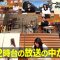 220329 Hamasuka Housou-bu Masterpiece Selection – Nogizaka46 Saito Asuka – HD.mp4-00013