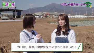 220401 Nogizaka46 to Issho ni Kuni Shoukokusan wo Manabou! – Nogizaka46 Sato Kaede, Sakaguchi Tamami – FHD.mp4-00012