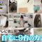 220410 Kaji Yarou!!! Masterpiece Selection – ex-HKT48 Sashihara Rino & ex-AKB48 Shinoda Mariko – HD.mp4-00002