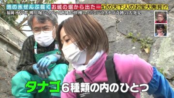 220410 Kinkyu SOS! Ike no Mizu Zenbu Nuku Dai Sakusen – ex-AKB48 Oya Shizuka – HD.mp4-00001