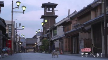 220414 Iwago Mitsuaki no Sekai Neko Aruki Selection – ex-AKB48 Maeda Atsuko – HD.mp4-00006