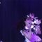 220419 NMB48 Theater Performance 1830 – HD.mp4