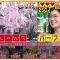 220425 Quiz Presen Variety Q Sama!! – ex-Nogizaka46 Takayama Kazumi – HD.mp4-00001