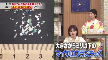 220430 Moshimo de Kangaeru… Naruhodo! Nattoku Juku – ex-HKT48 Tomonaga Mio – HD.mp4-00002