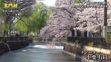 220502 THE Meimonkou Nippon Zenkoku Sugoi Gakkou Meikan – AKB48 Oguri Yui – HD.mp4-00002