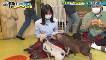 220508 Ariyoshi ii eeeee! – Hinatazaka46 Kageyama Yuuka – HD.mp4-00012