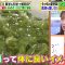 220514 Hayashi Osamu no Lesson! Imadesho Masterpiece Selection – Nogizaka46 Akimoto Manatsu – HD.mp4-00008