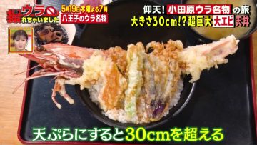 220515 Ura Torechaimashita Masterpiece Selection – ex-Nogizaka46 Shiraishi Mai – HD.mp4-00006