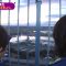 220525 [Early Morning Roke] Shibata Yuna Watches The Sunrise With Seimiya Rei! [TV Station] [Nogizaka 46Hours TV] – FHD.mp4-00004