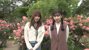 220527 Shichouson Tekuteku Sanpo – AKB48 Yoshikawa Nanase, Tokunaga Remi – HD.mp4-00004