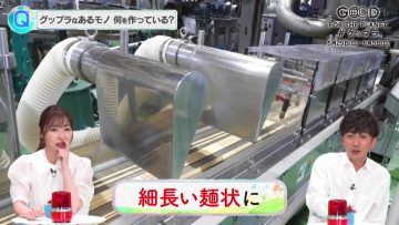 220529 Chikyuu ni Ii Koto ＝ Good For the Planet ni Kansuru Quiz Bangumi – ex-HKT48 Sashihara Rino – HD.mp4-00001