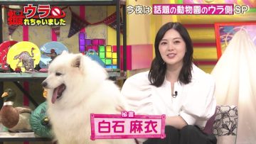 220609 Ura Torechaimashita – ex-Nogizaka46 Shiraishi Mai – HD.mp4-00010