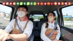 220612 Tane kara Ueru TV – ex-AKB48 Nishino Miki – HD.mp4-00005