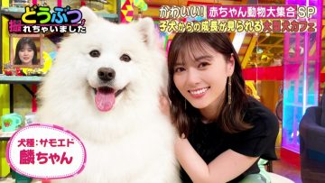 220616 Ura Torechaimashita – ex-Nogizaka46 Shiraishi Mai – HD.mp4-00014