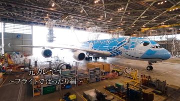 220628 AKB48, Saikin Kiita ~Issho ni Nanka Yatte Mimasen ka~ Unreleased Premium Video – ‘Motokare Desu’ Music Video ~Bumpy Flight Edition~ – HD.mp4-00011