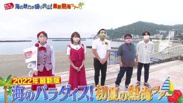 220702 Moshimo Tours – AKB48 Okabe Rin – HD.mp4-00002