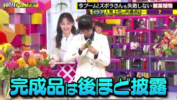 220703 Nichiyoubi no Hatsumimi Gaku – Sakurazaka46 Yamasaki Ten – HD.mp4-00009