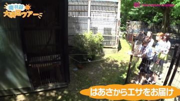 220722 Shin YNN NMB48 CHANNEL – Minami Haasa Graduation Trip ‘Dai Manzoku Tour’ – FHD.mp4-00004