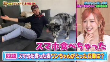 220725 Kiseki no Douga Dai Shuugou! Kami Eizou Grand Prix – AKB48 Honda Hitomi – HD.mp4-00006