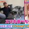 220725 Kiseki no Douga Dai Shuugou! Kami Eizou Grand Prix – AKB48 Honda Hitomi – HD.mp4-00006