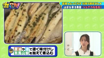 220817 Hamachanga! – ex-SKE48 Matsui Rena – HD.mp4-00017