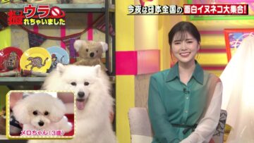 220818 Ura Torechaimashita – ex-Nogizaka46 Shiraishi Mai – HD.mp4-00012