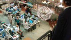 220904 OLD ROOKIE 10 – ex-Nogizaka46 Ikuta Erika – HD.mp4-00007