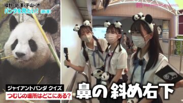 220909 Shin YNN NMB48 CHANNEL – Fukuno Ami Presents ‘Fukufuku! Amigo Tour!’ 1 – HD.mp4-00001