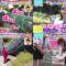 221006 LOVE it! – Sakurazaka46 Moriya Rena & AKB48 Oguri Yui Cut – HD-tile