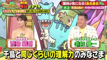 221030 Chidori no Kaitsuman de Oshiete Hoshiin-ja! Masterpiece Selection – NMB48 Shibuya Nagisa – HD.mp4-00005