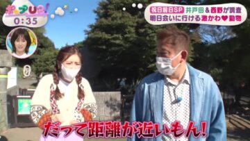 221102 Pop UP! – ex-AKB48 Maeda Atsuko, Nishino Miki – HD.mp4-00014