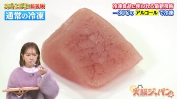 221103 Sugoi Koujou de Chou Jikken! Jikken Japan – ex-HKT48 Murashige Anna – HD.mp4-00009