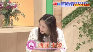 221113 Kenkou Capsule! Genki no Jikan – ex-AKB48 Nishino Miki – HD.mp4-00007