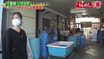 221116 Hirumeshi Tabi – ex-AKB48 Oya Shizuka – HD.mp4-00014