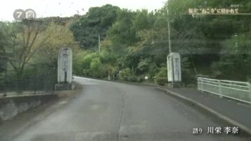 221118 Document 72 Hours – ex-AKB48 Kawaei Rina – HD.mp4-00008