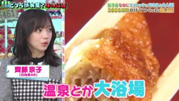 221125 Tokoro-san no Sokon Tokoro – Hinatazaka46 Saito Kyoko – HD.mp4-00015