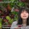 221129 7 Rules – ex-Keyakizaka46 Nagahama Neru – HD.mp4-00009