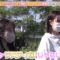 221203 Sustaina! – HKT48 Yabuki Nako & ex-HKT48 Murashige Anna – HD.mp4-00006