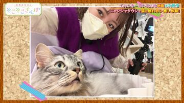 221206 Takahashi Minami no Sokosoko Sanpo – ex-AKB48 Takahashi Minami – HD.mp4-00006