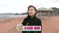 221209 Shichouson Tekuteku Sanpo – ex-AKB48 Owada Nana – HD.mp4-00004